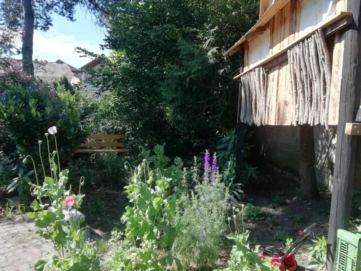 Ferienwohnung Familie Faath Bellheim Exterior foto